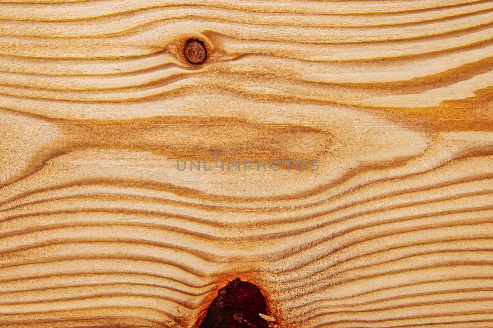 Wood texture with natural pattern. A fragment of a wooden panel