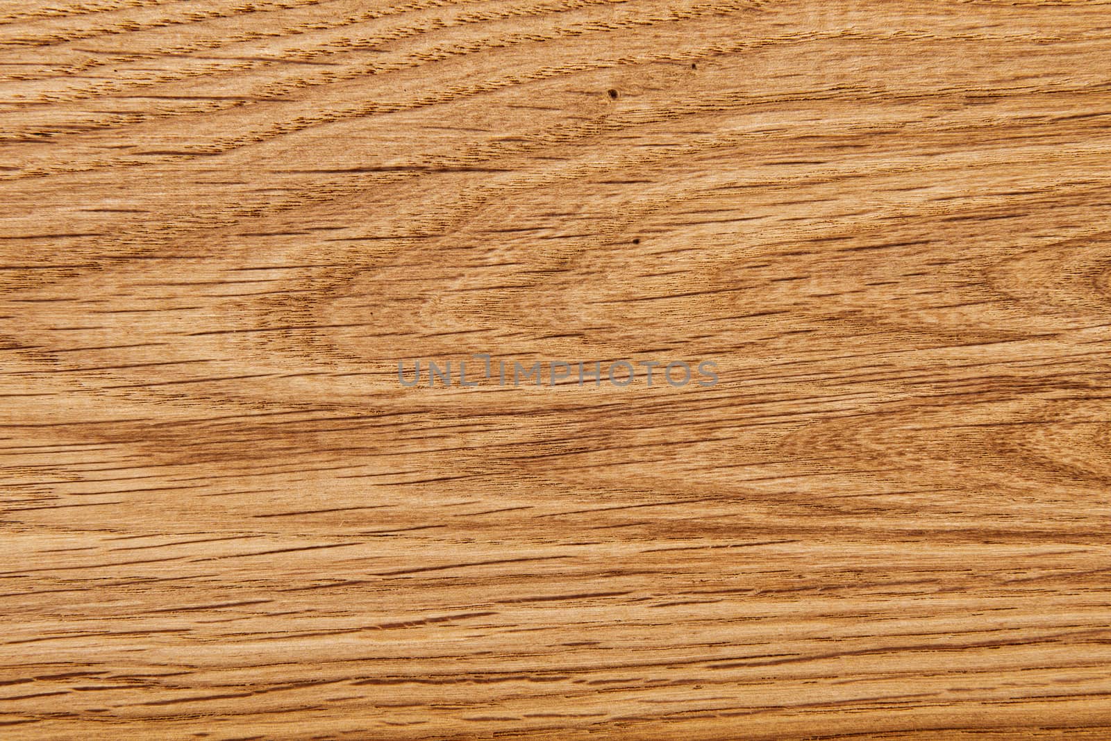 Wood texture with natural pattern. A fragment of a wooden panel