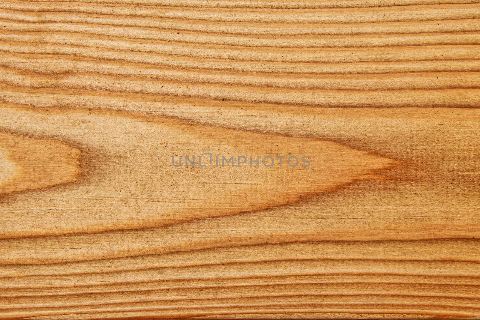 Wood texture with natural pattern. A fragment of a wooden panel