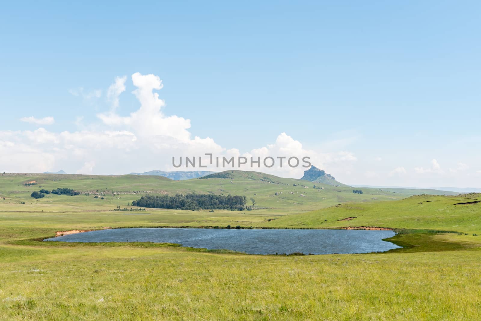 Grass and lake landscape on the road to the Kaalvoet Vrou monument at Retief Pass in the Free State Province