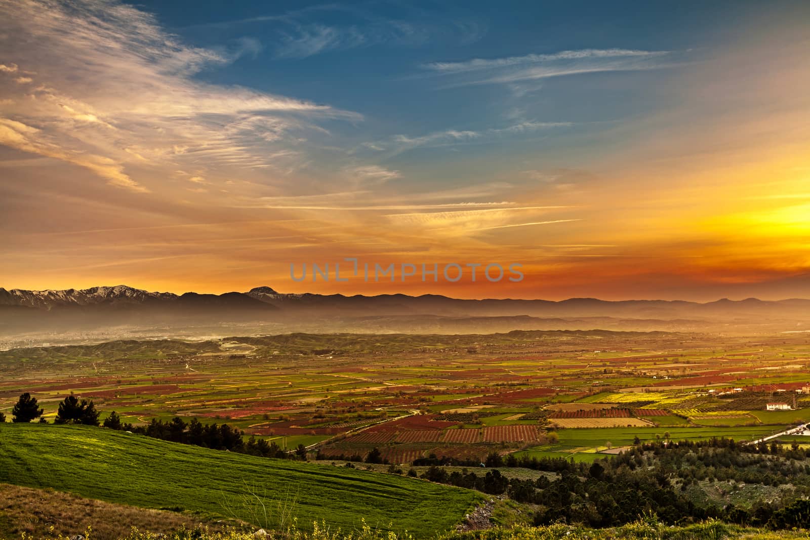 Beutiful sunset over colored agricultiral fields by igor_stramyk