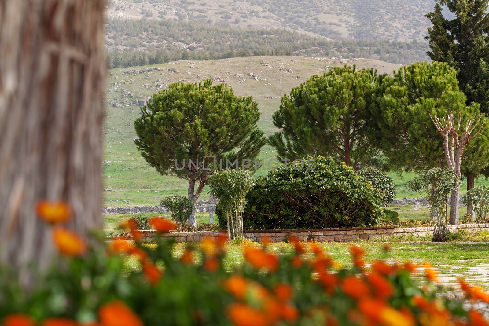 Park in Hierapolis near Pamukkale in Turkey