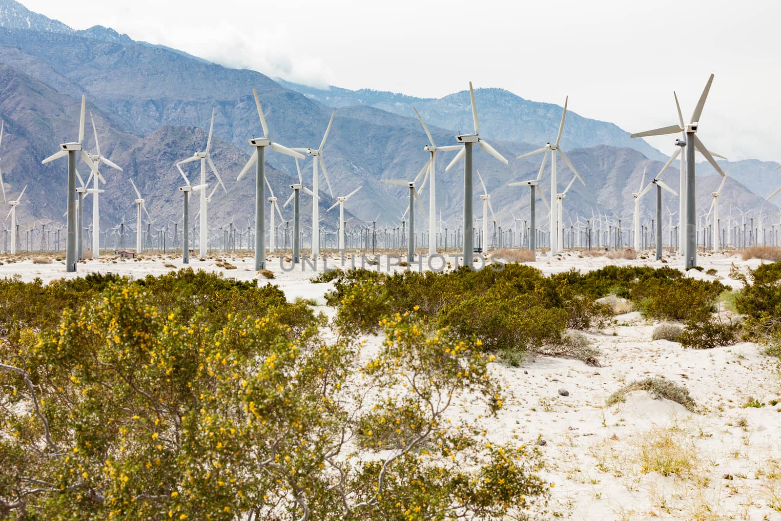 Dramatic Wind Turbine Farm in the Desert of California. by Feverpitched