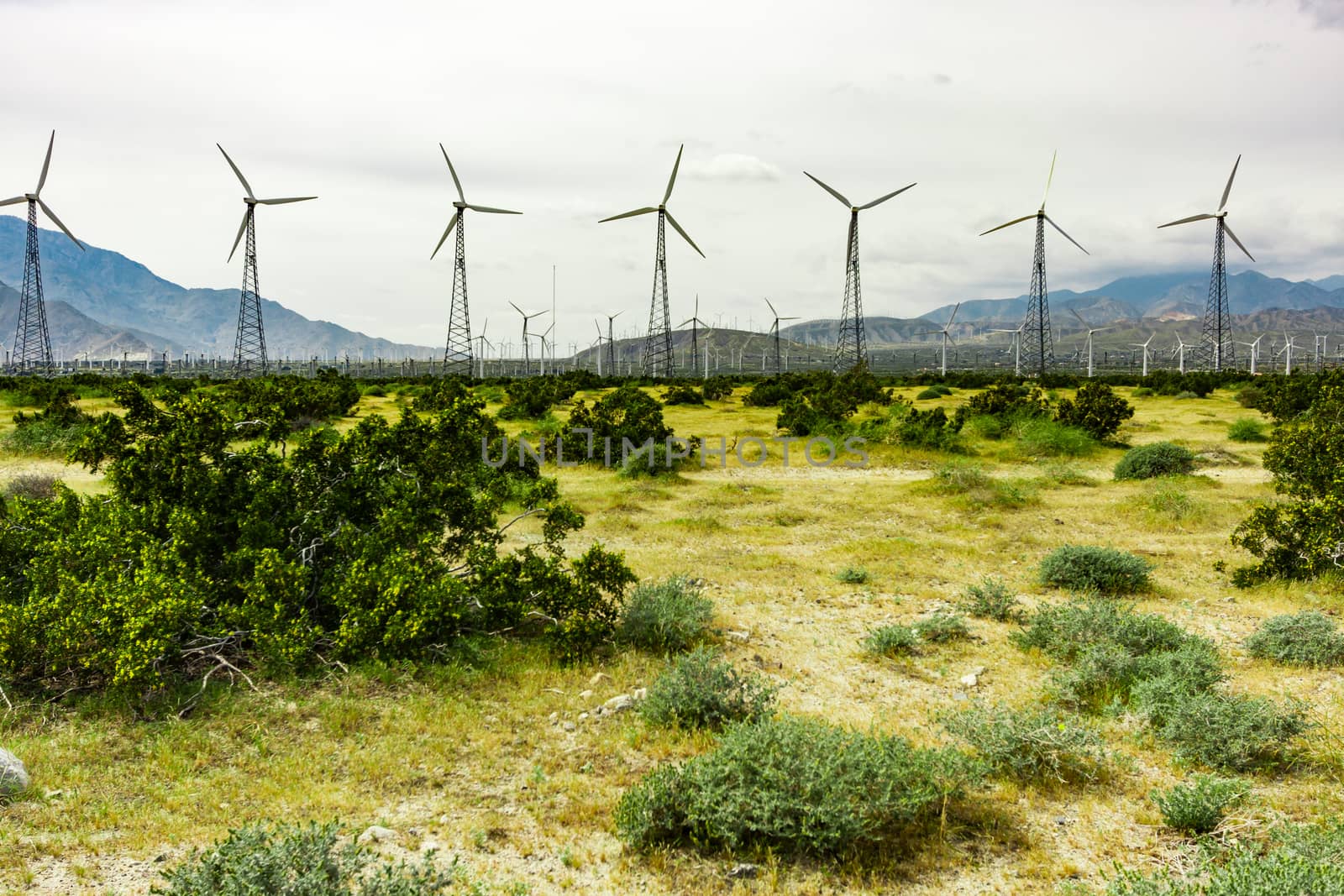 Dramatic Wind Turbine Farm in the Desert of California. by Feverpitched