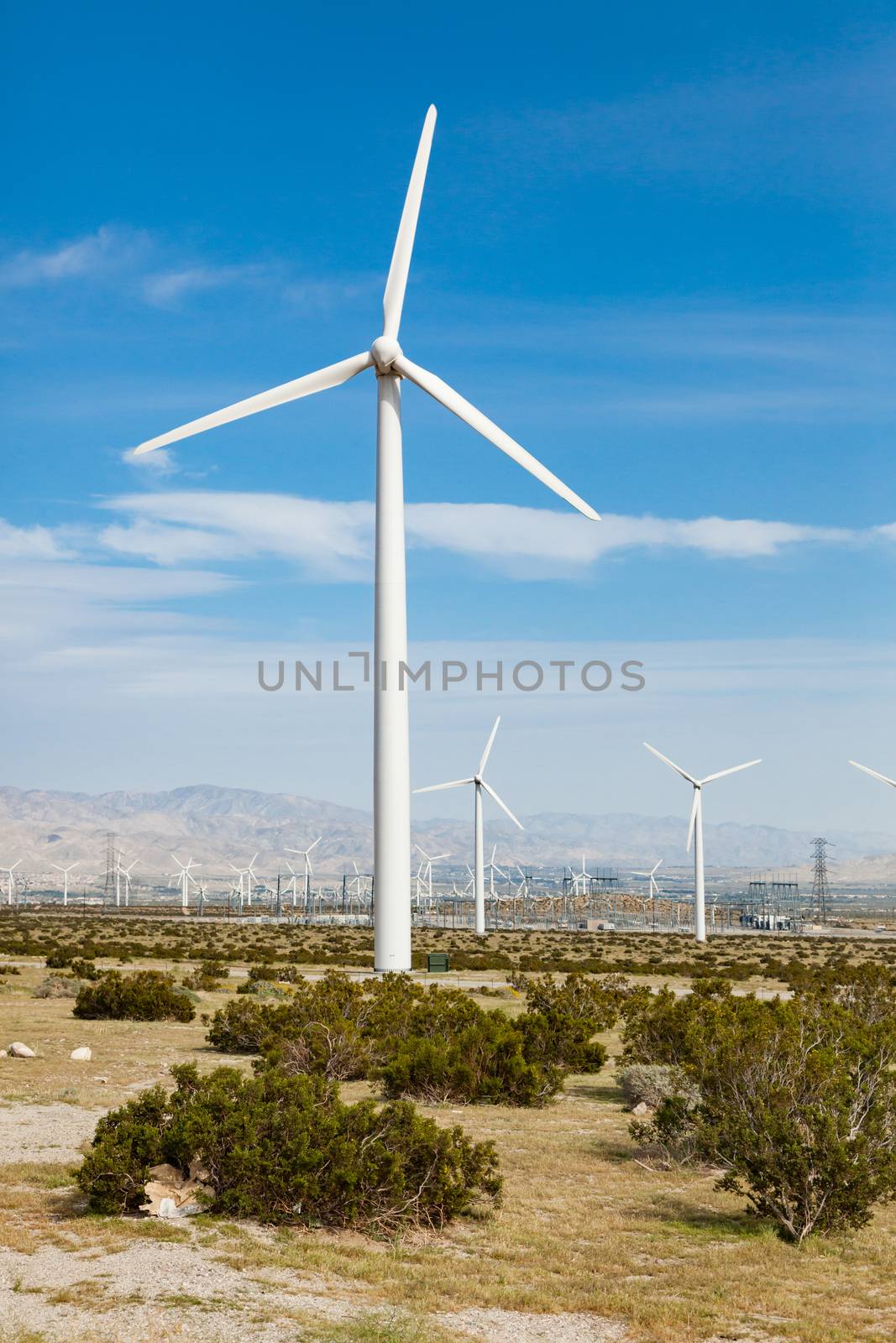 Dramatic Wind Turbine Farm in the Desert of California. by Feverpitched