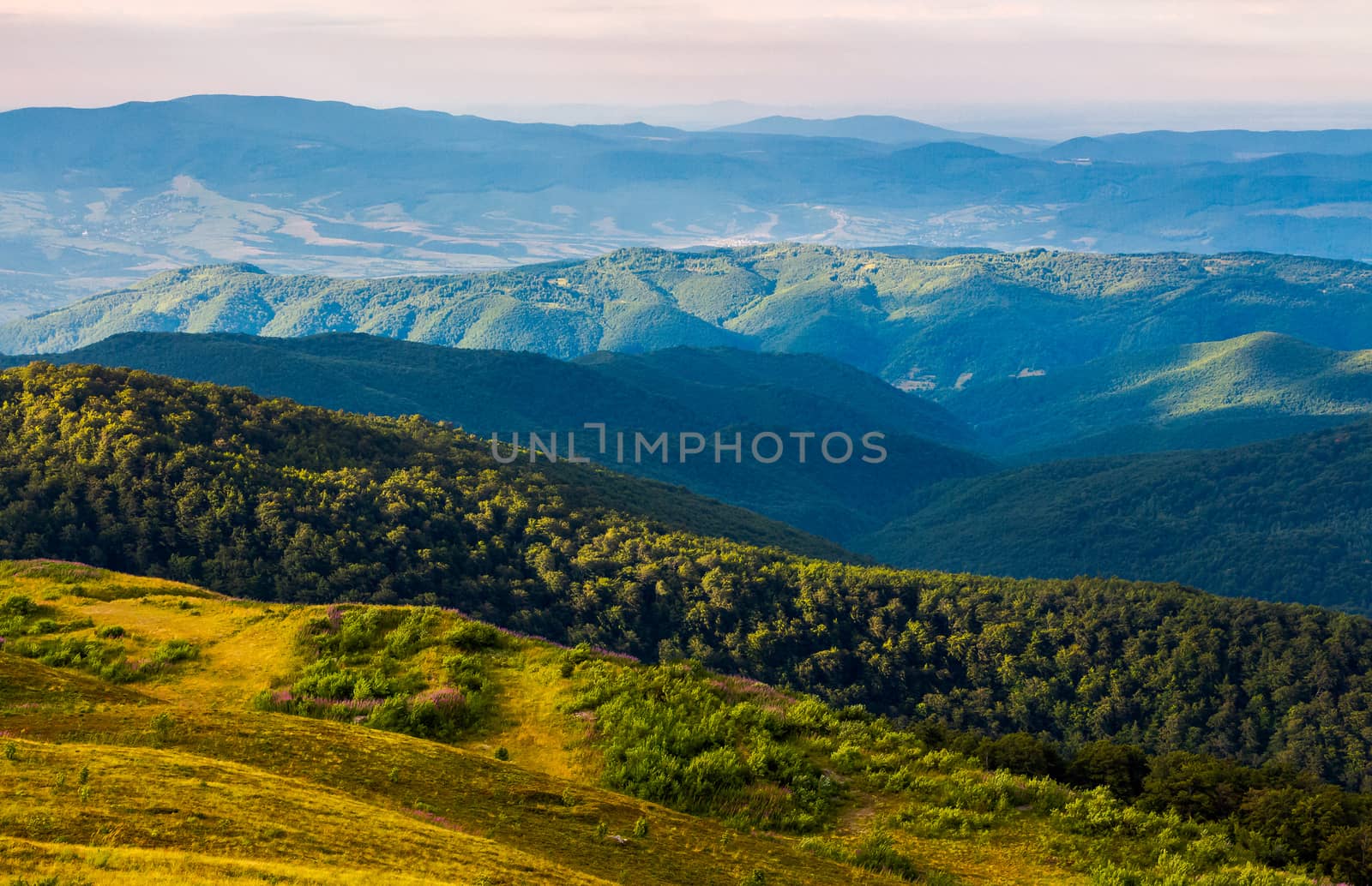 sun lit valley in afternoon. beautiful mountainous landscape and cloudy sky in golden light. lovely scenery after the storm. view from the top of a hill