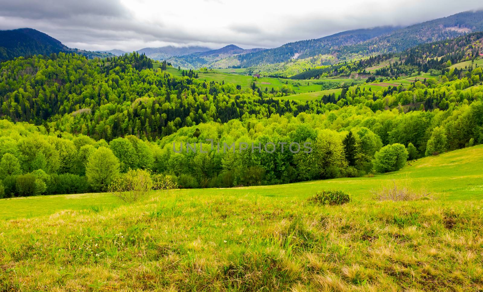 Carpathian rural area in springtime by Pellinni