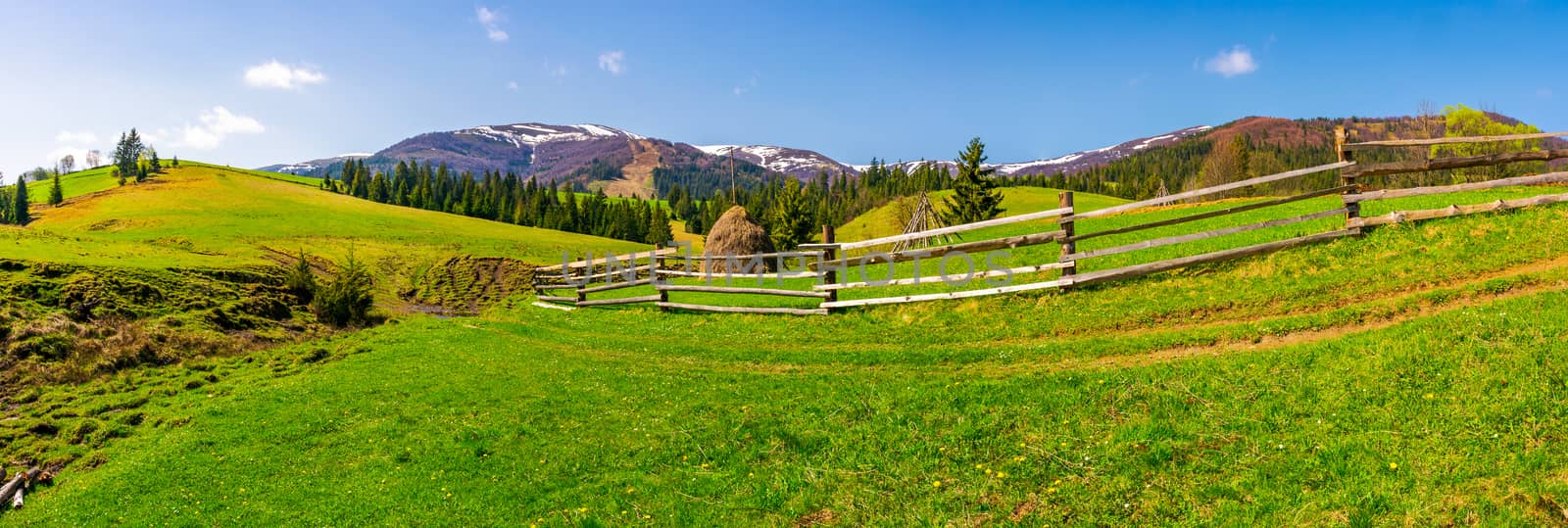 panorama of mountainous rural area. fence along the path on a grassy hill. beautiful landscape with Borzhava mountain ridge in the distance in springtime