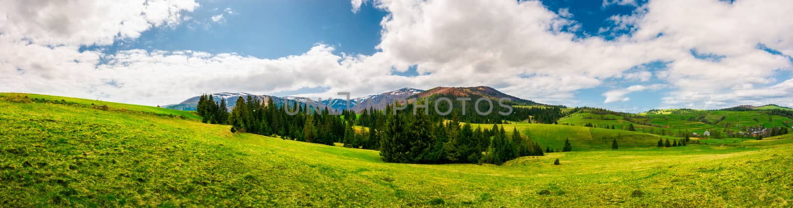 panorama of mountainous landscape in springtime by Pellinni