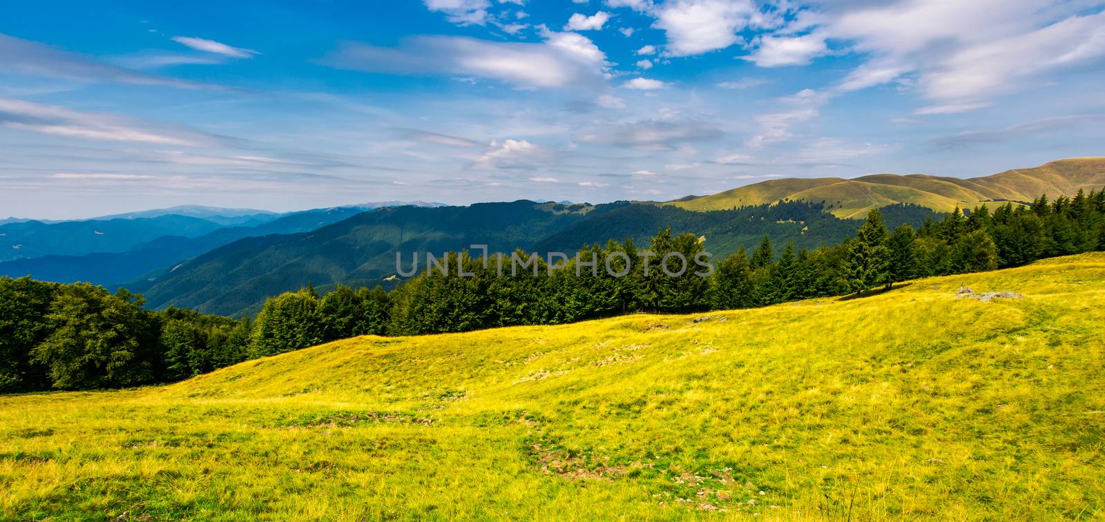 gorgeous weather over grassy slopes of Carpathians by Pellinni