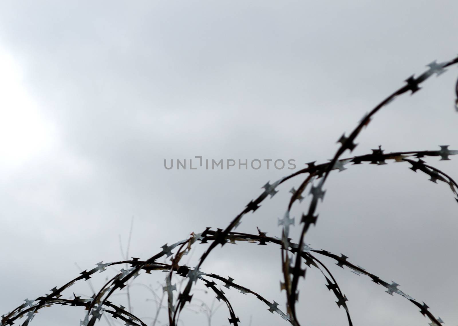 Barbed wire by andre_dechapelle