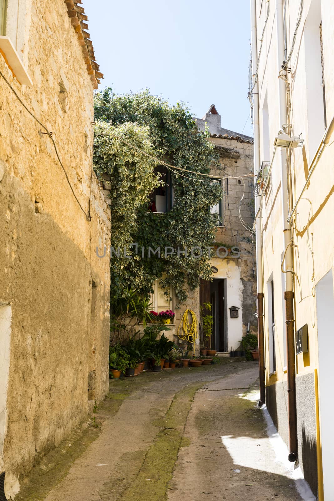 typical small italian street on sardinia by compuinfoto
