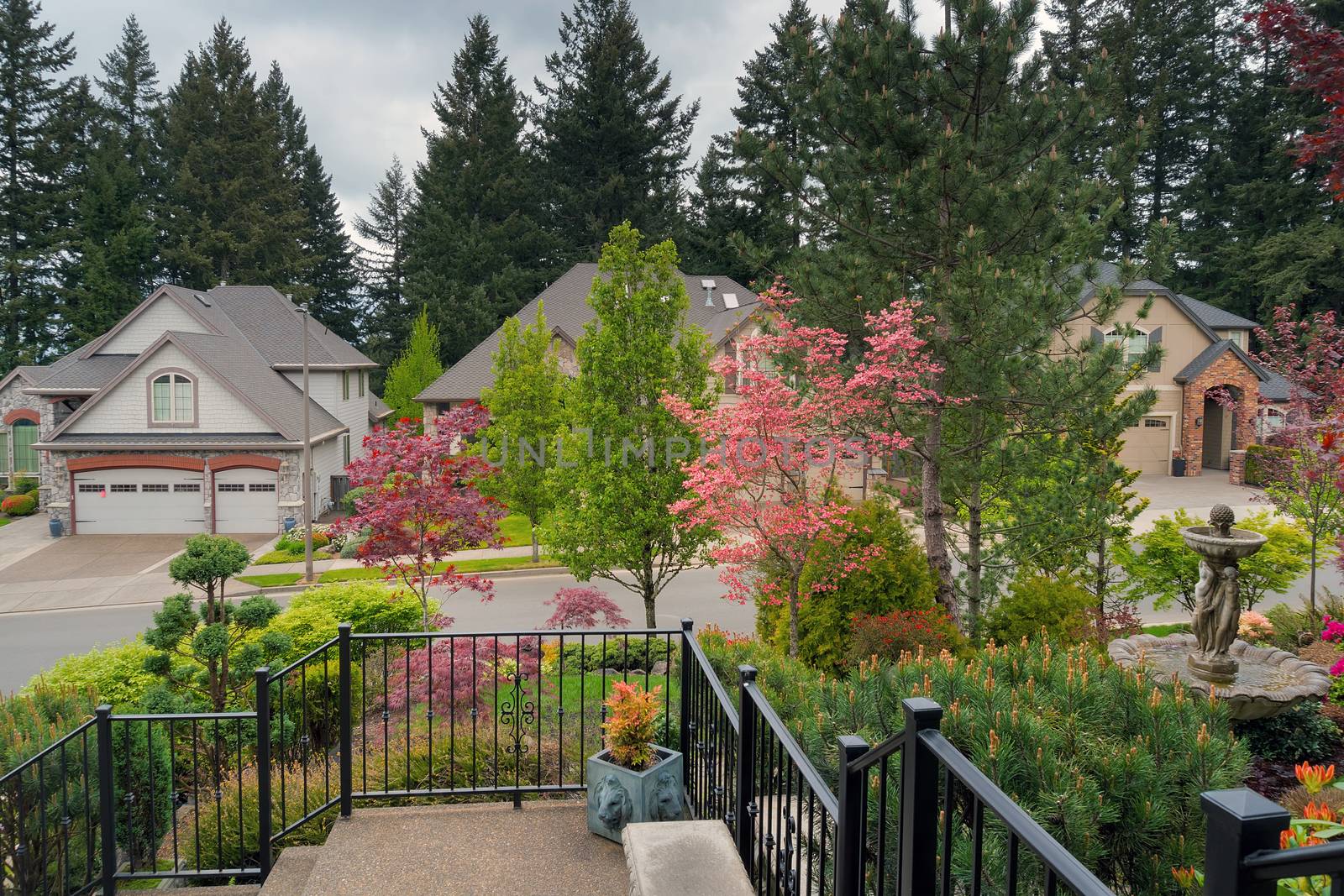 Home Entry Frontyard Landscaped Garden by jpldesigns