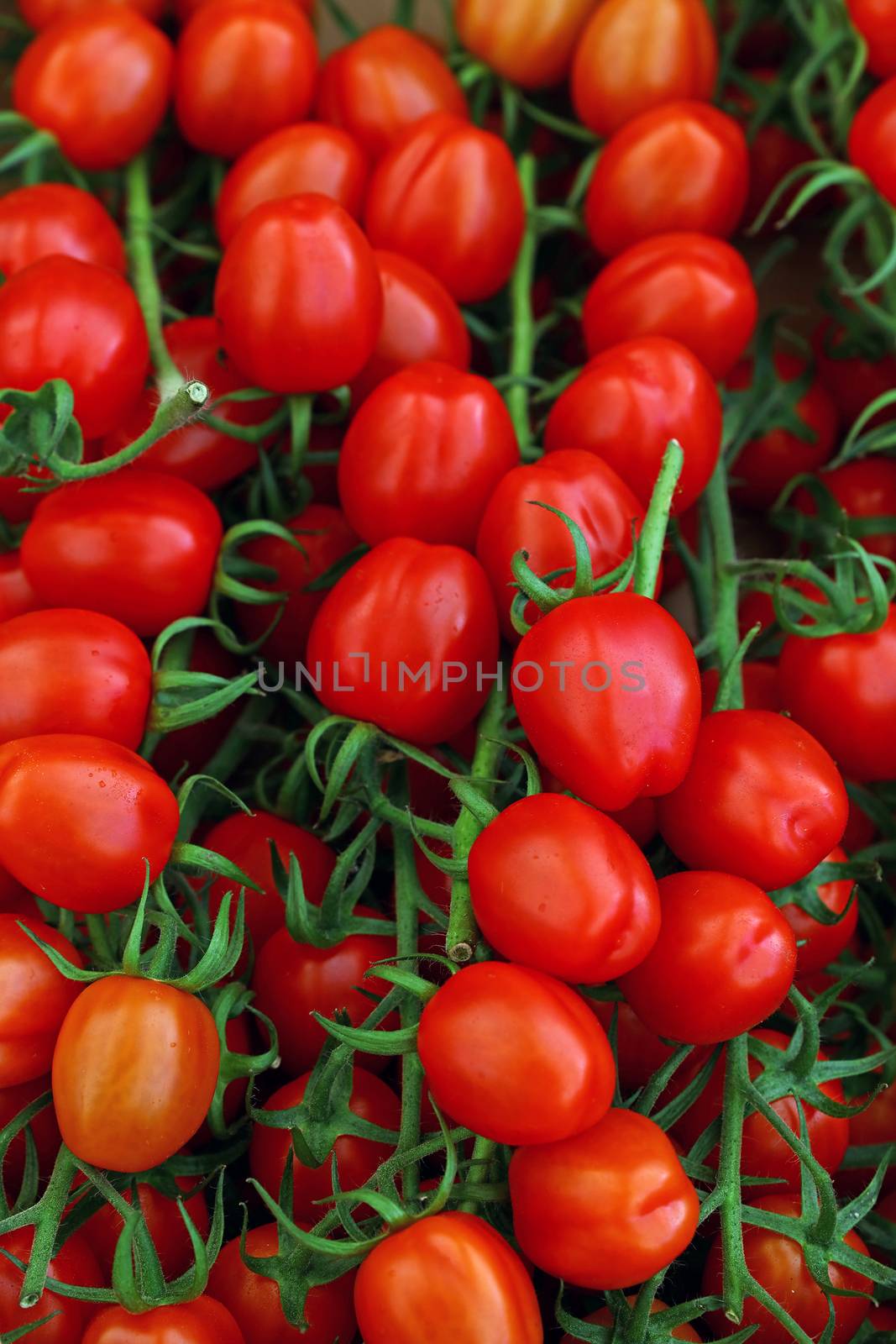 Close up fresh red cherry tomatoes on green branch at retail display of farmers market, high angle view