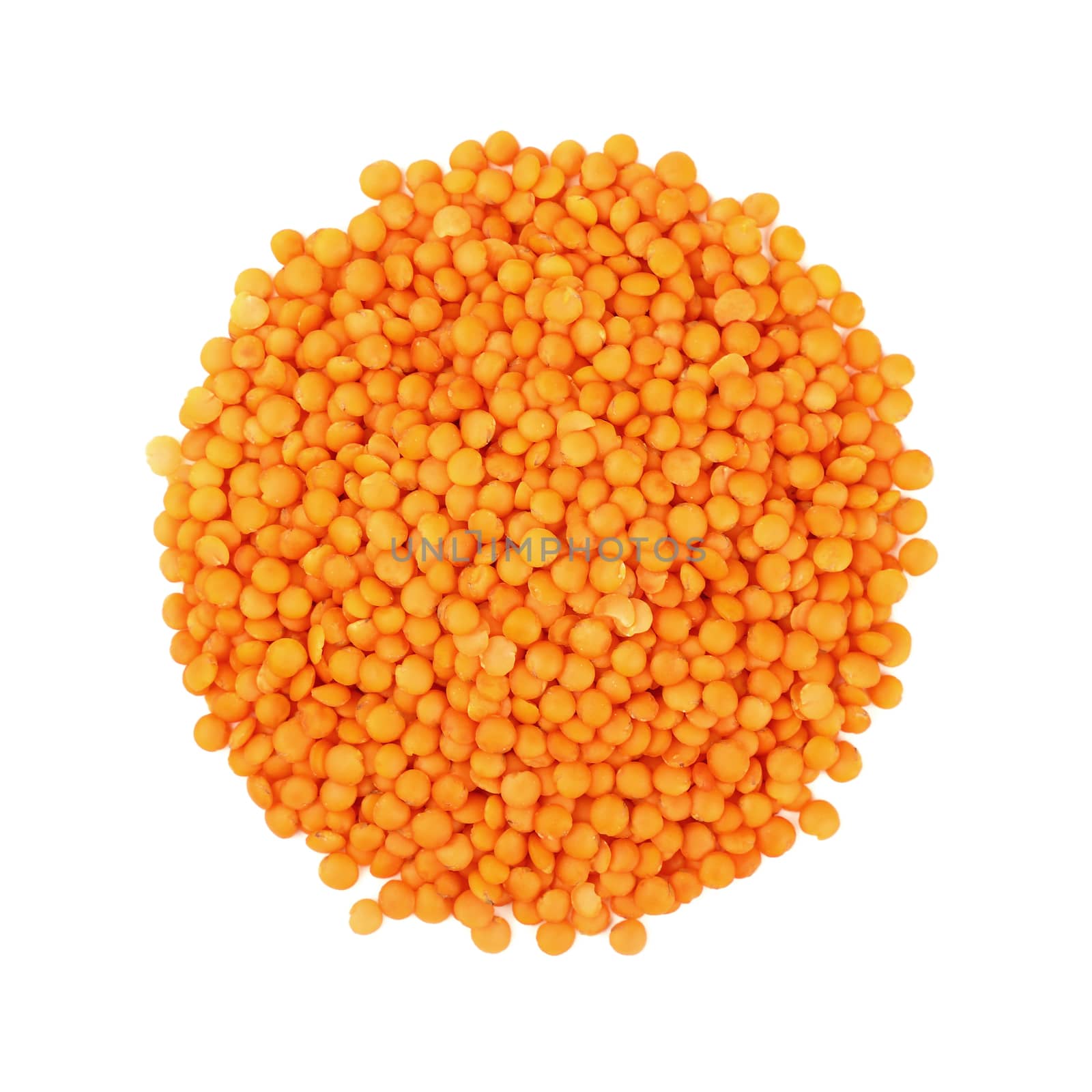 Round shaped orange lentil lens isolated on white by BreakingTheWalls