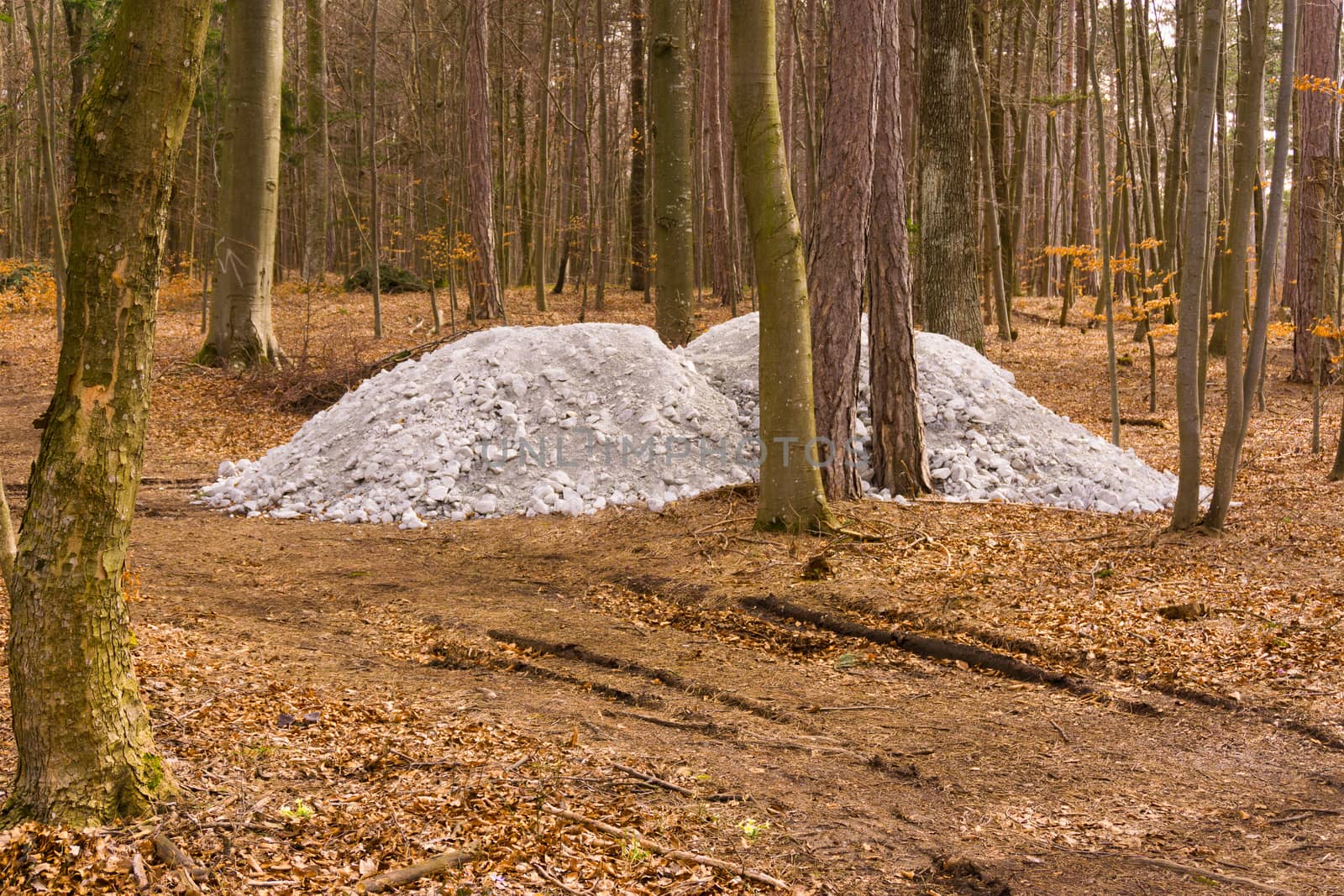 a white cairn in the woods at spring