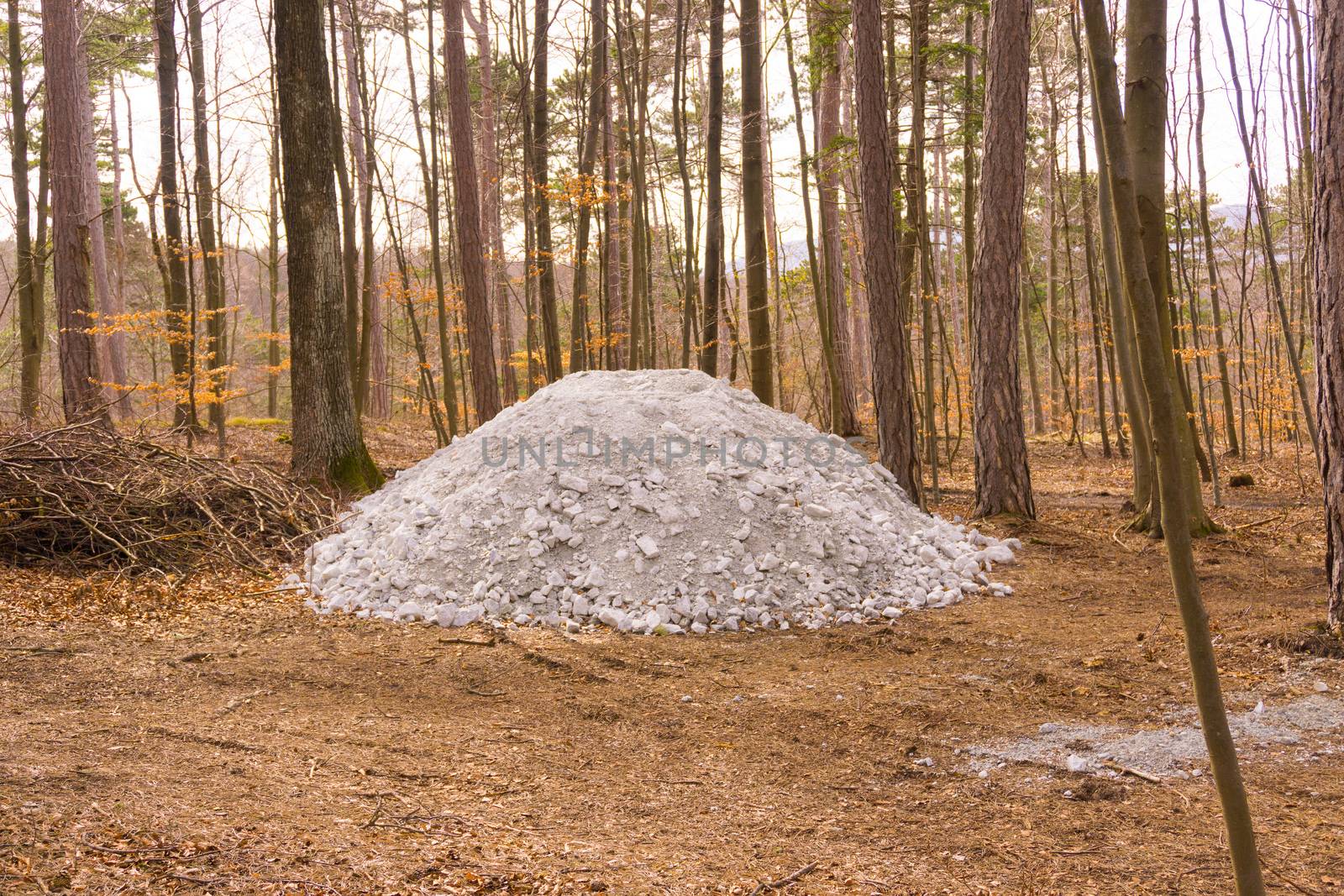 a white cairn in the woods at spring