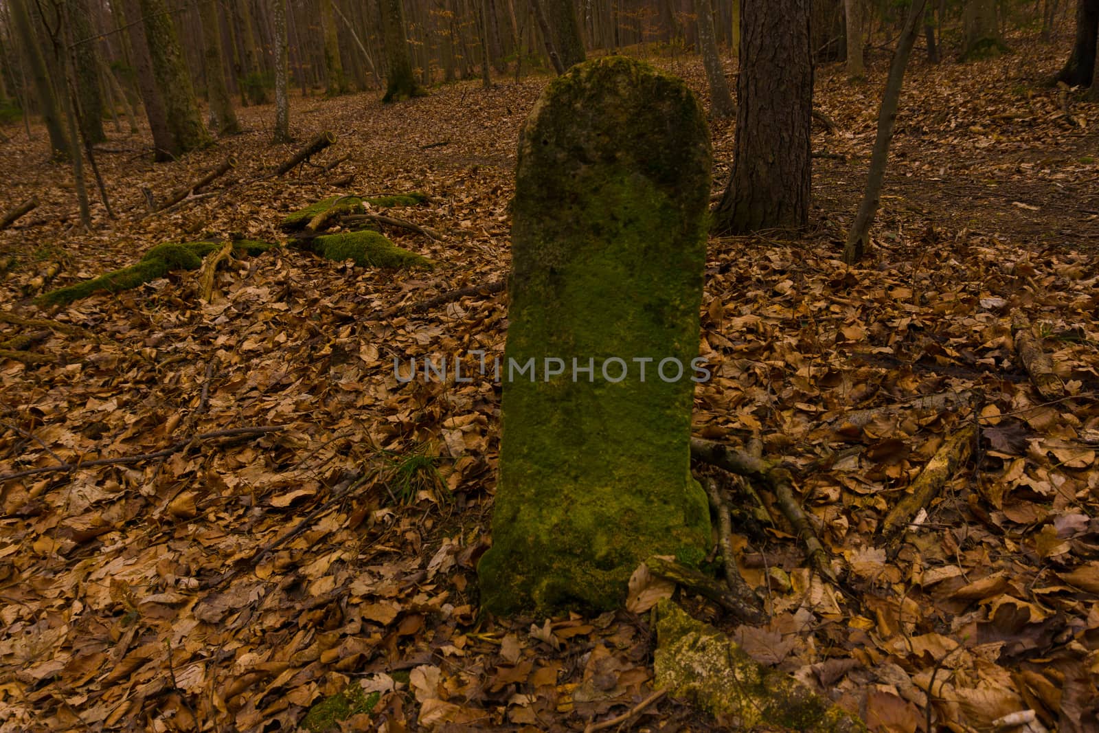 an old stone in the woods with green moss by Tevion25