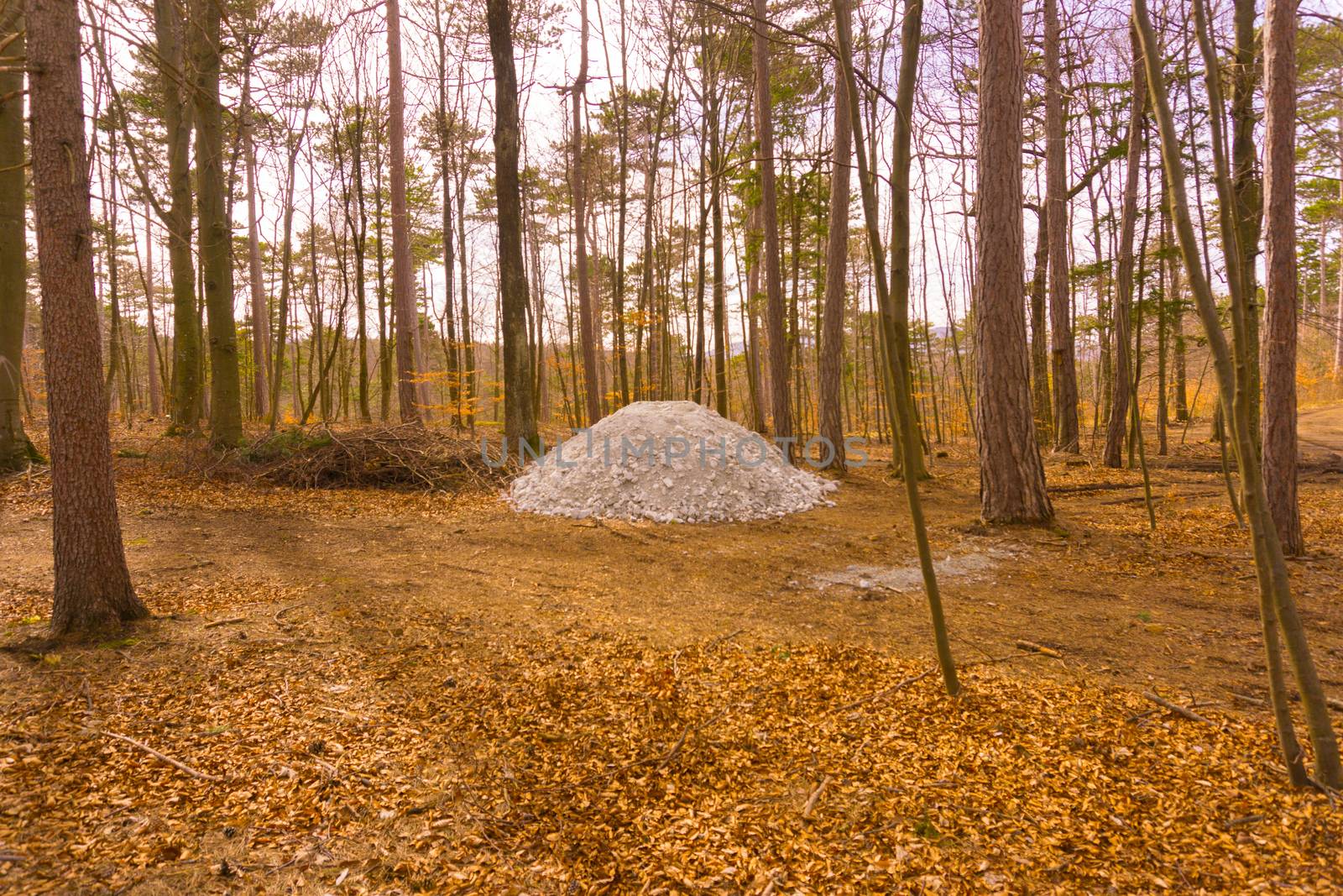 a white cairn in the woods at spring