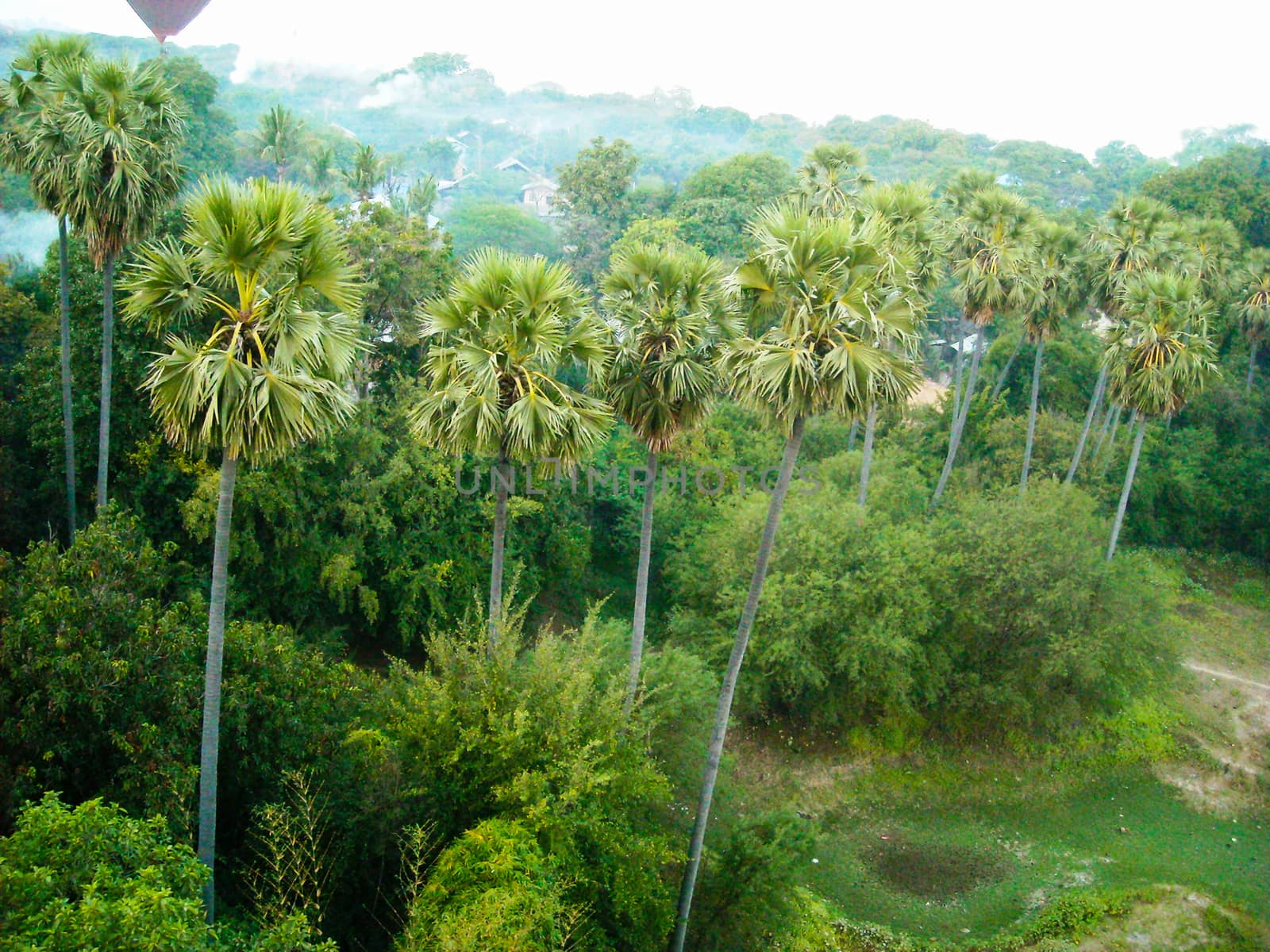 nice view from the jungle in burna