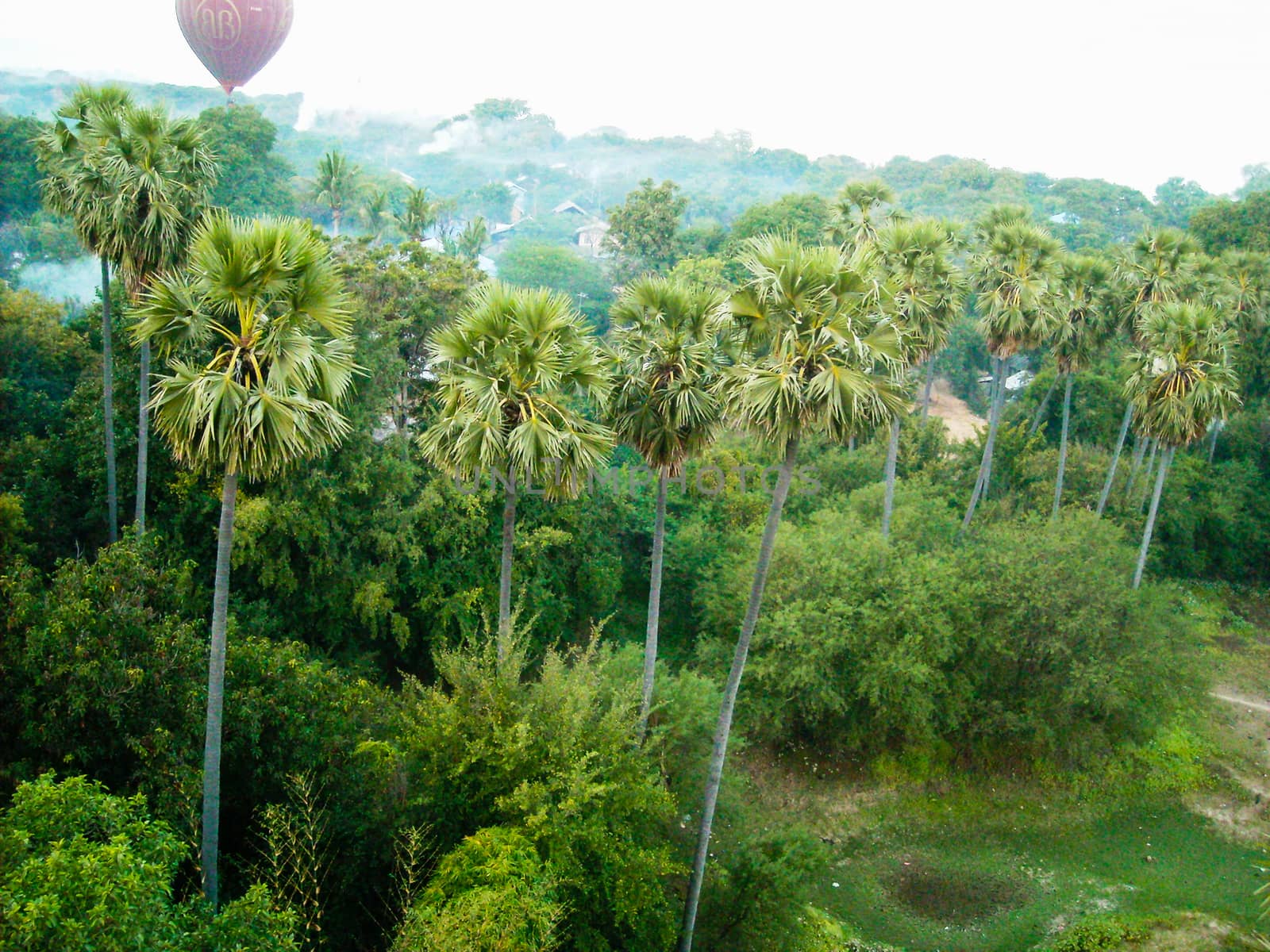 nice view from the jungle in burna