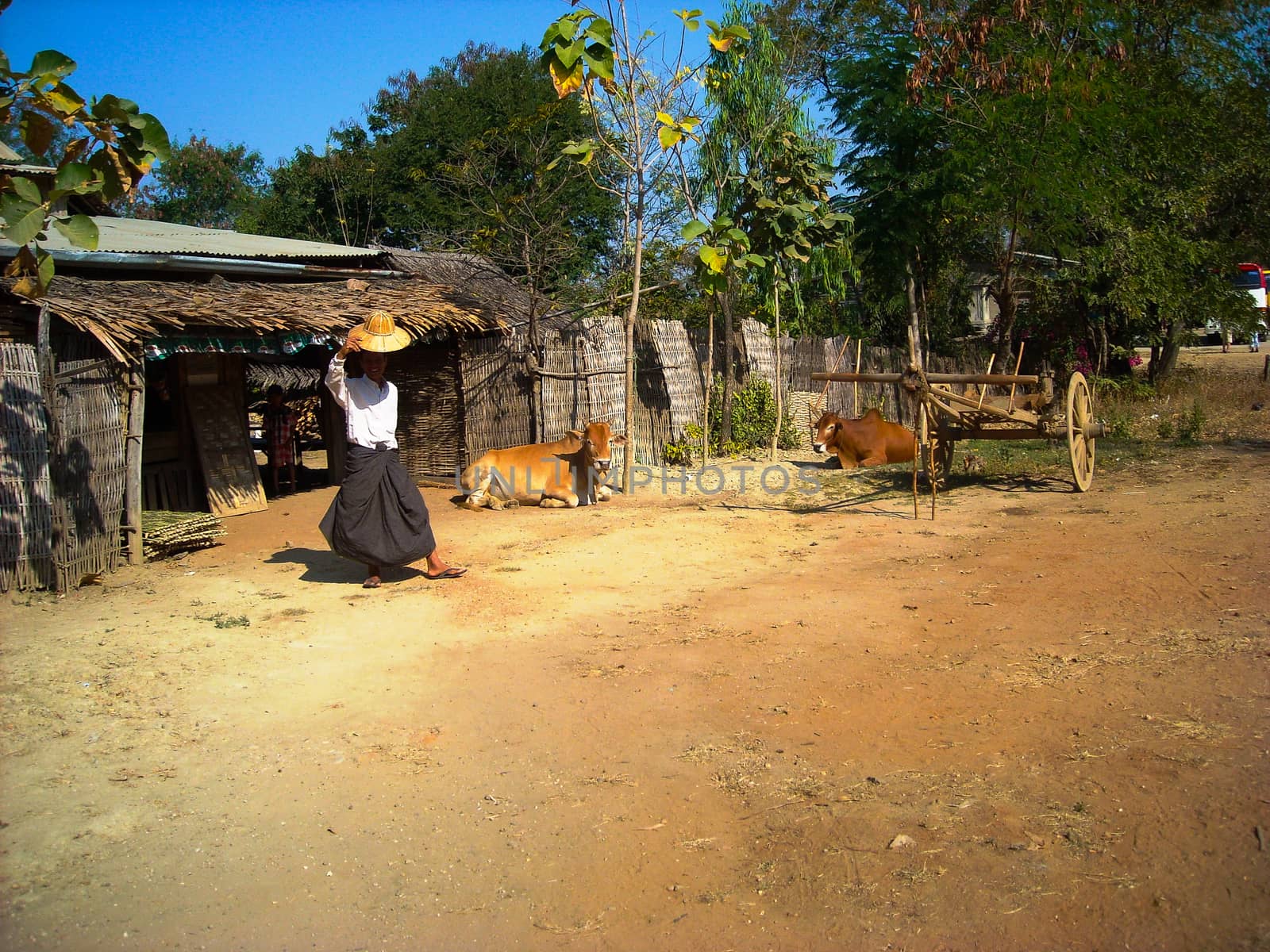 a farmer in burma by Tevion25