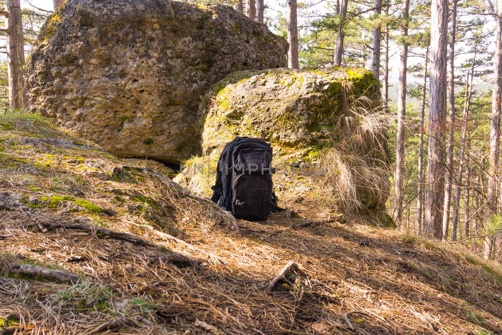 big stones in the wood with bagpack by Tevion25