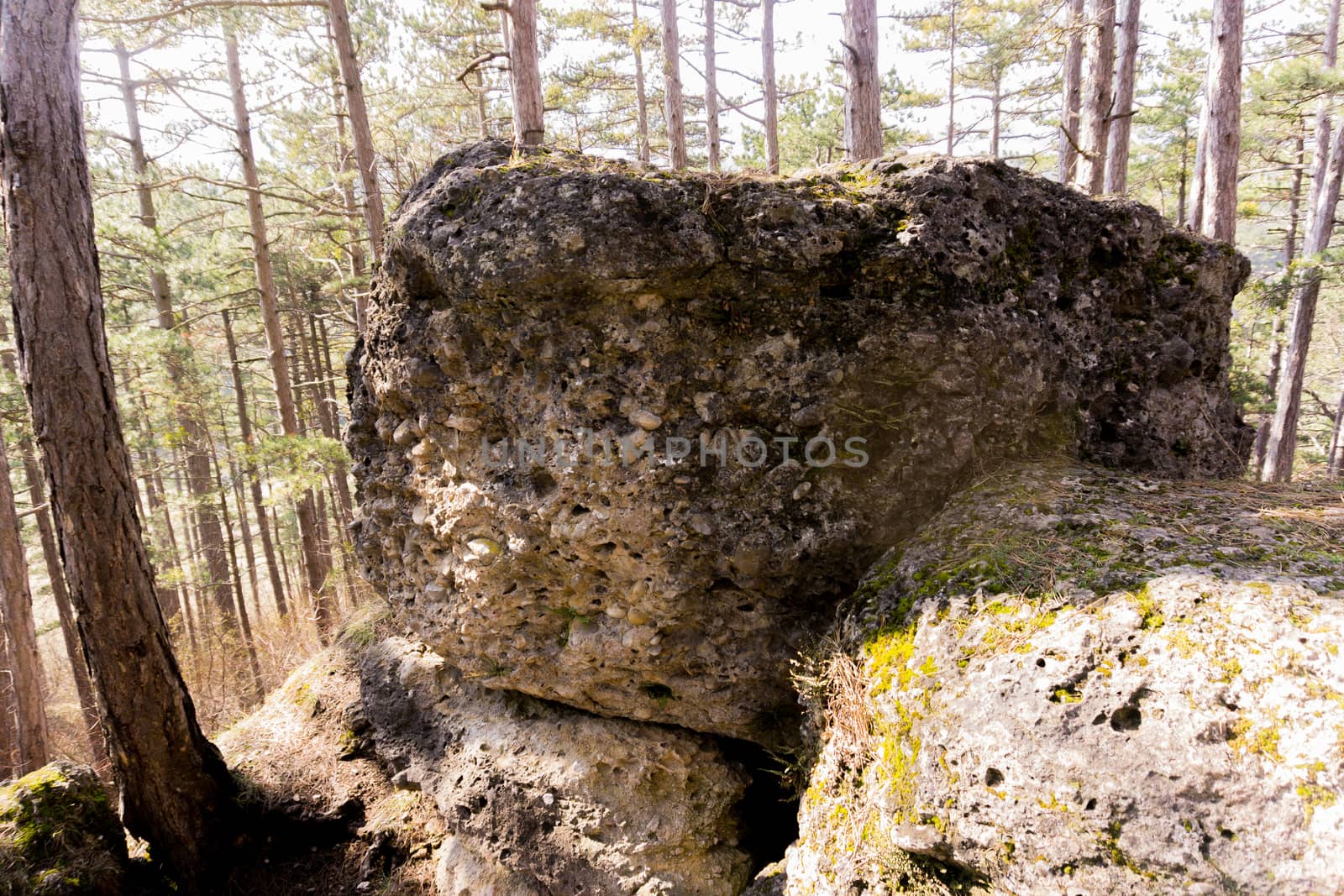 big stones in the woods with a bagpack in front