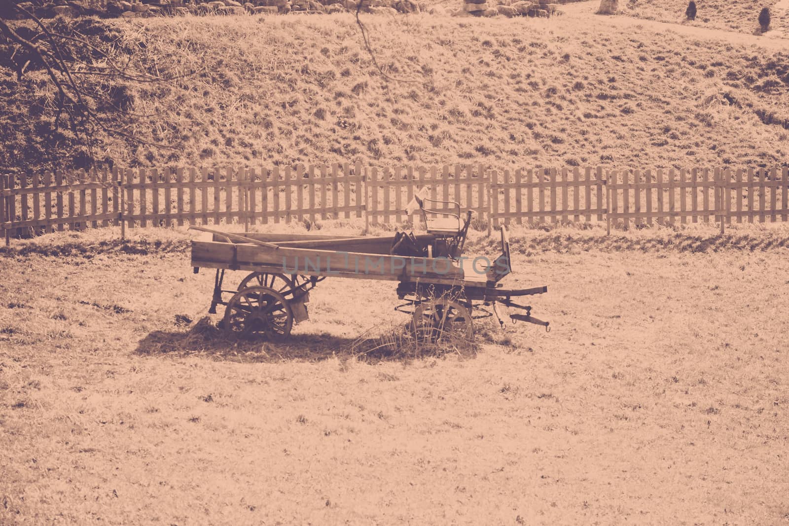 an old horse drawn carriage in a lonely field