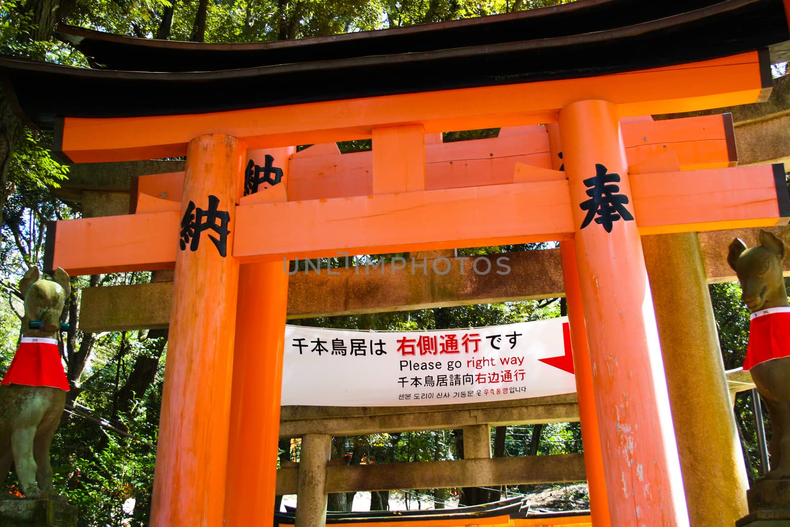 japanese wood entry