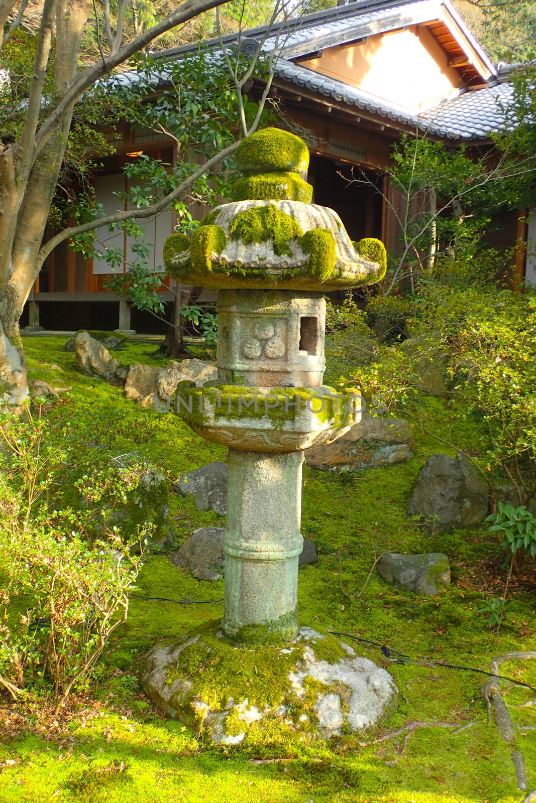 wonderful japanese garden by Tevion25