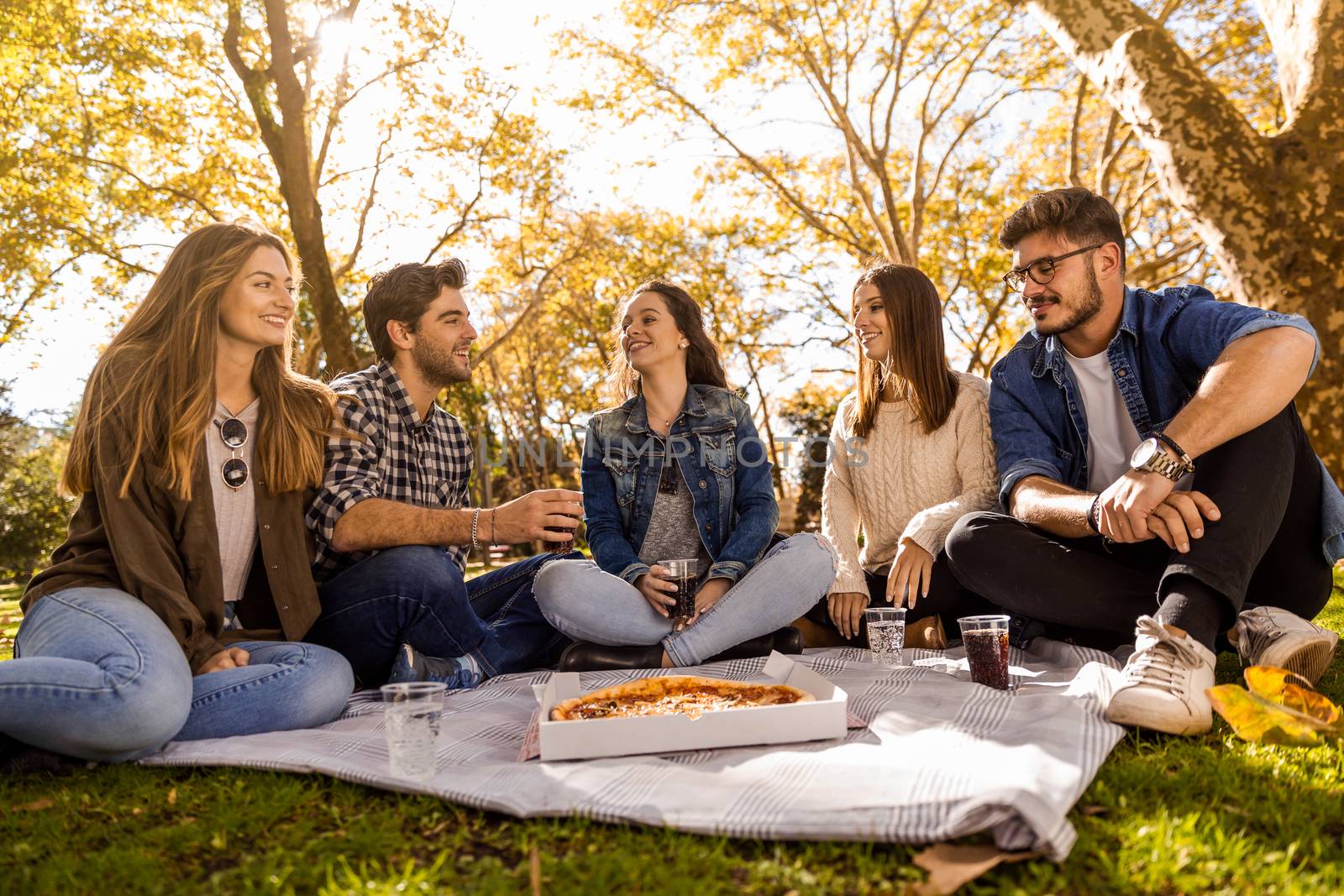 Friends at the park making a picnic
