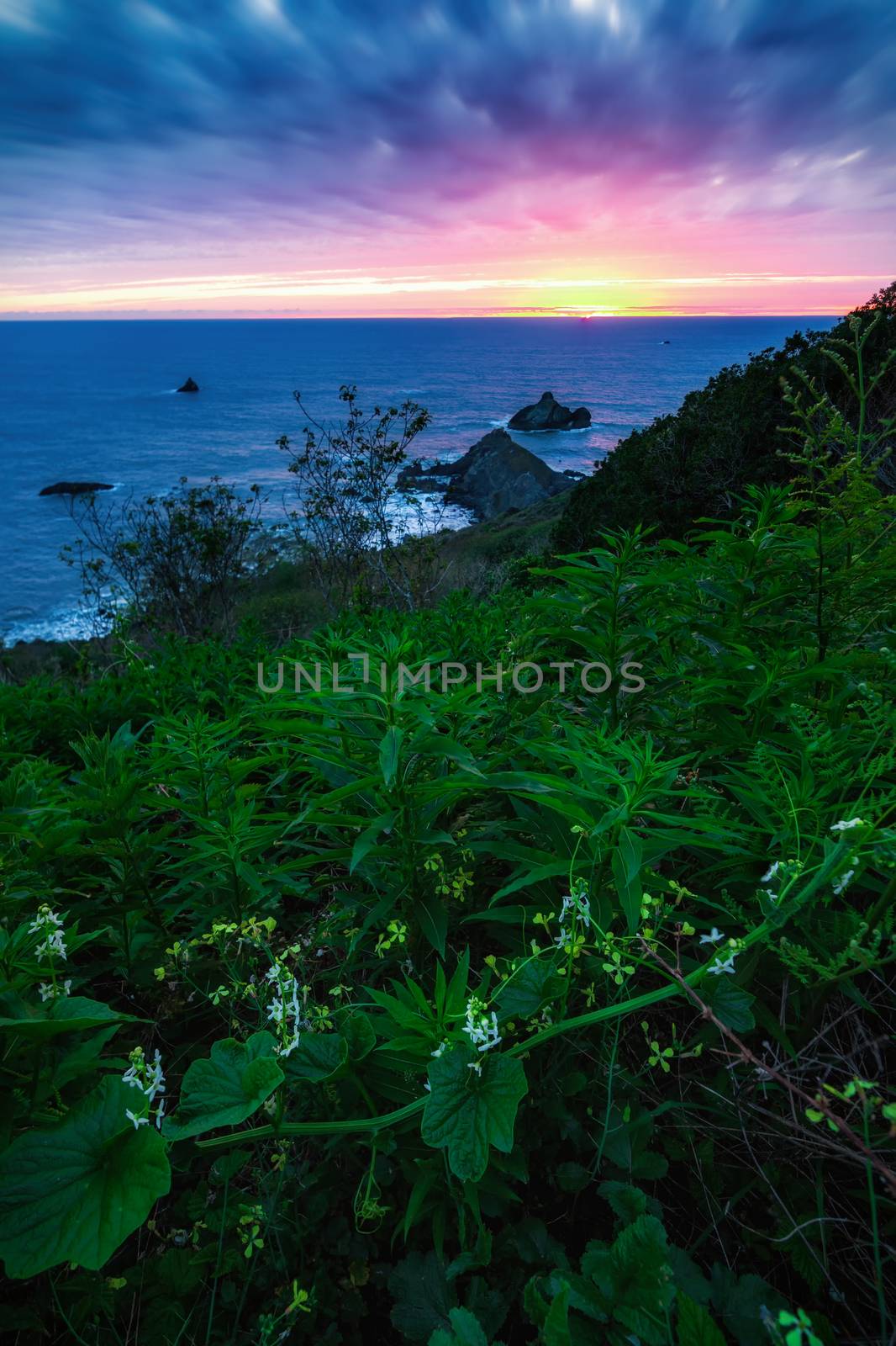 California Sunset with Wildflowers by backyard_photography