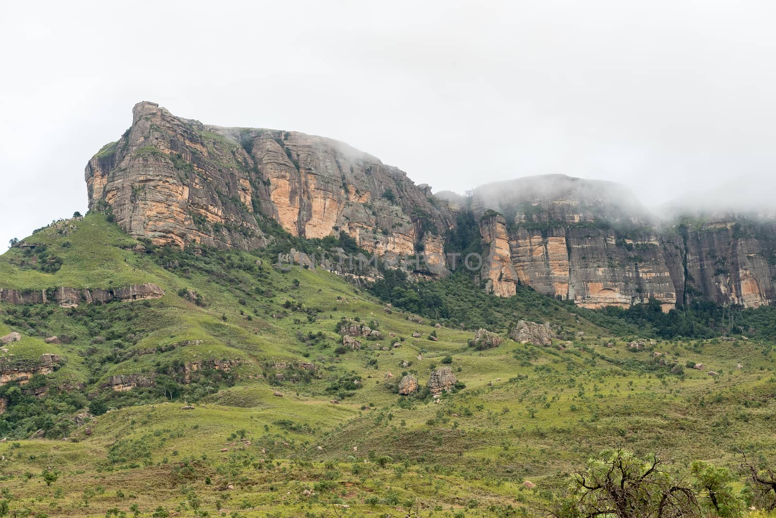 The Mudslide hiking trail above the Mahai camp site ascends the mountain in the tree-lined gully in the middle of the photo