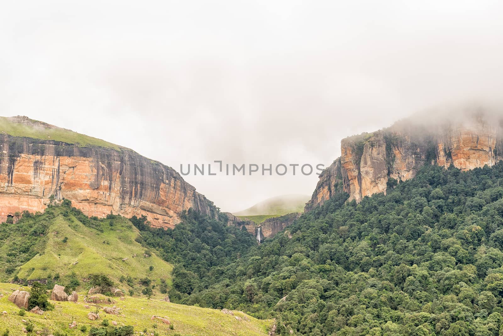 The Gudu Forest with the Gudu falls in the back near Mahai in the Kwazulu-Natal Drakensberg