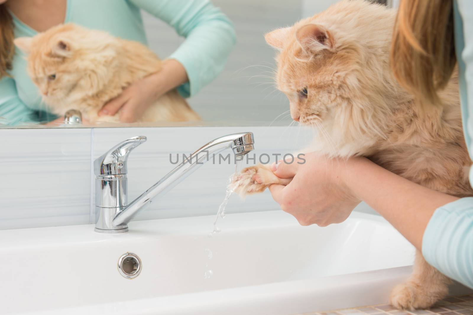A girl washes a cat's paw under a stream of water from a washbasin mixer in the bathroom by Madhourse