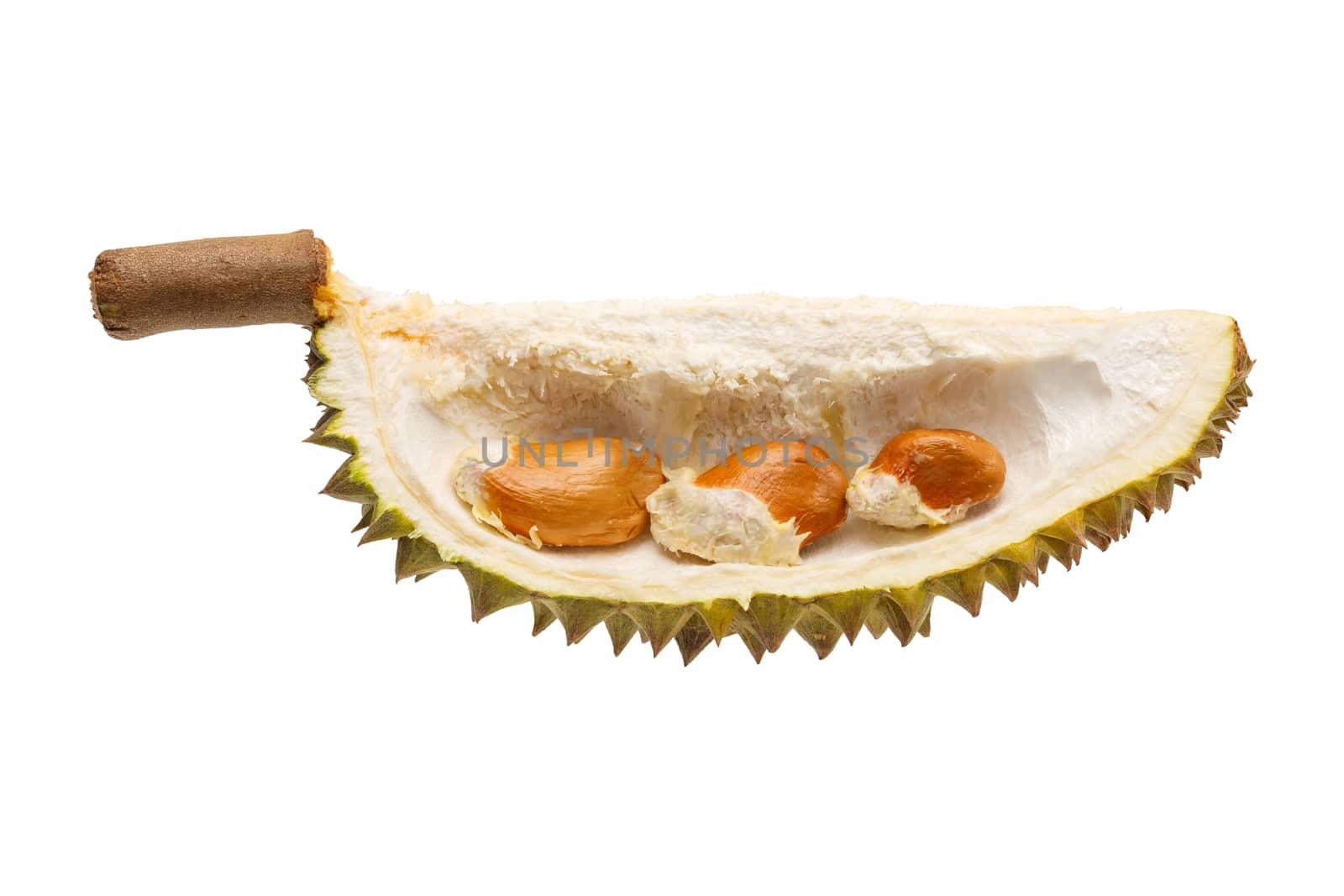 Durian fruit portion with seed isolated on white background