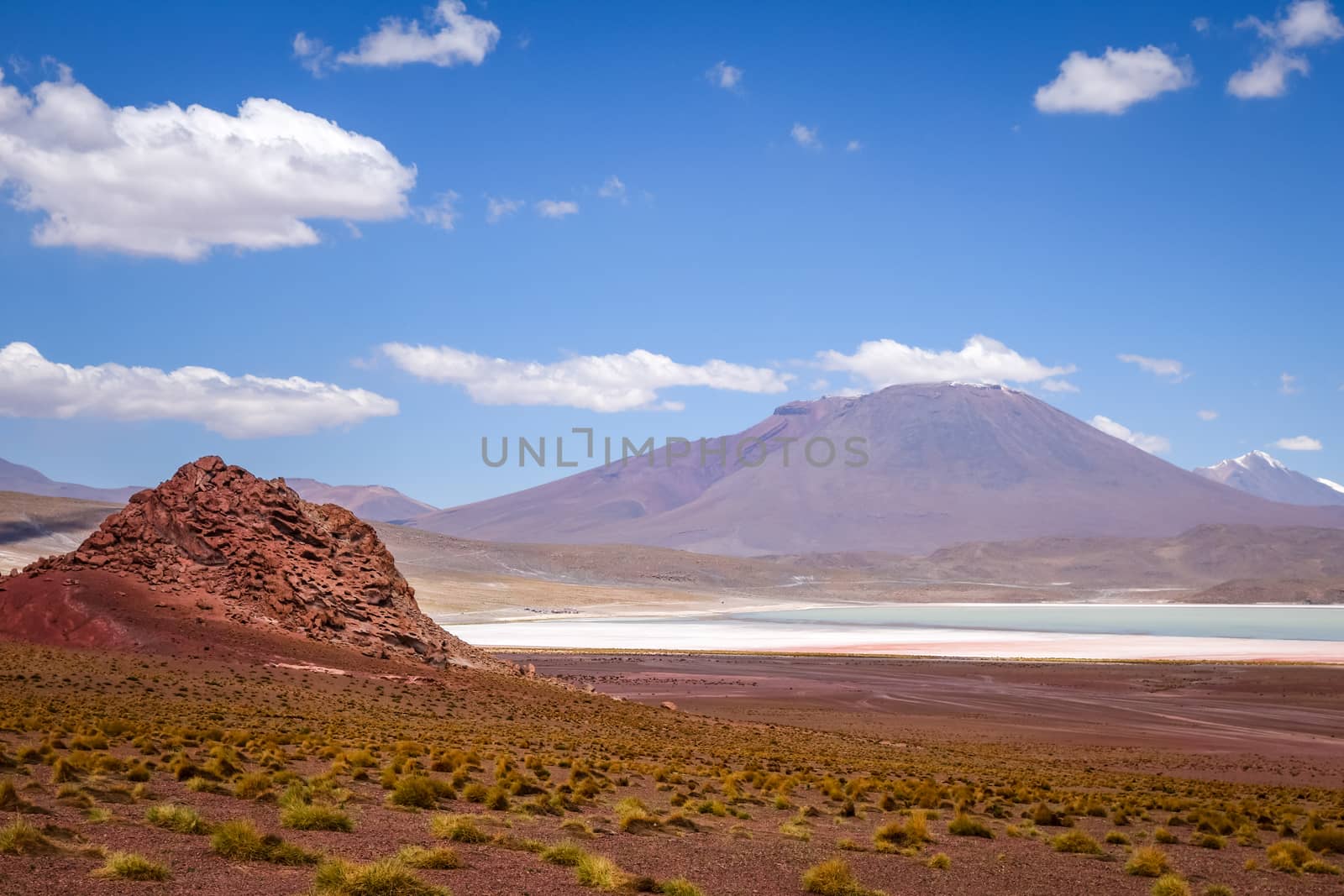 Laguna Honda in sud Lipez Altiplano reserva, Bolivia by daboost