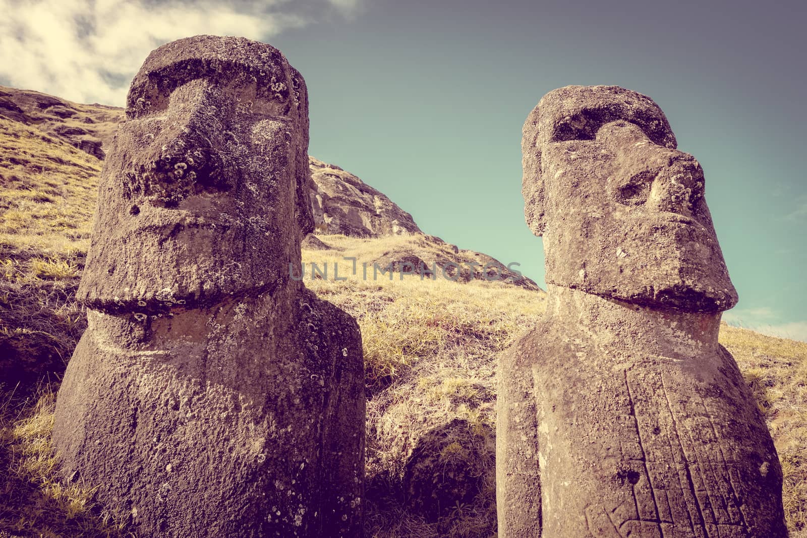 Moais statues on Rano Raraku volcano, easter island, Chile