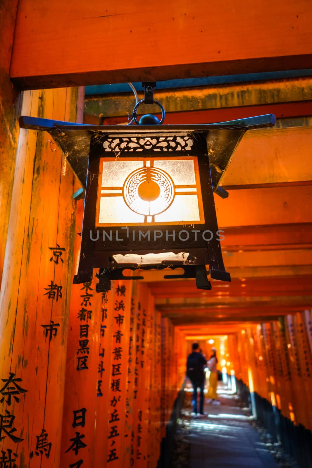 Traditional lantern in Fushimi Inari Taisha shrine, Kyoto, Japan