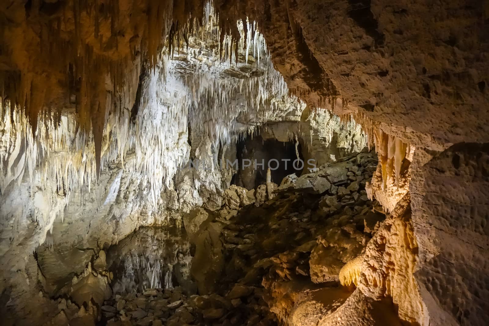 Waitomo glowworm caves, New Zealand by daboost