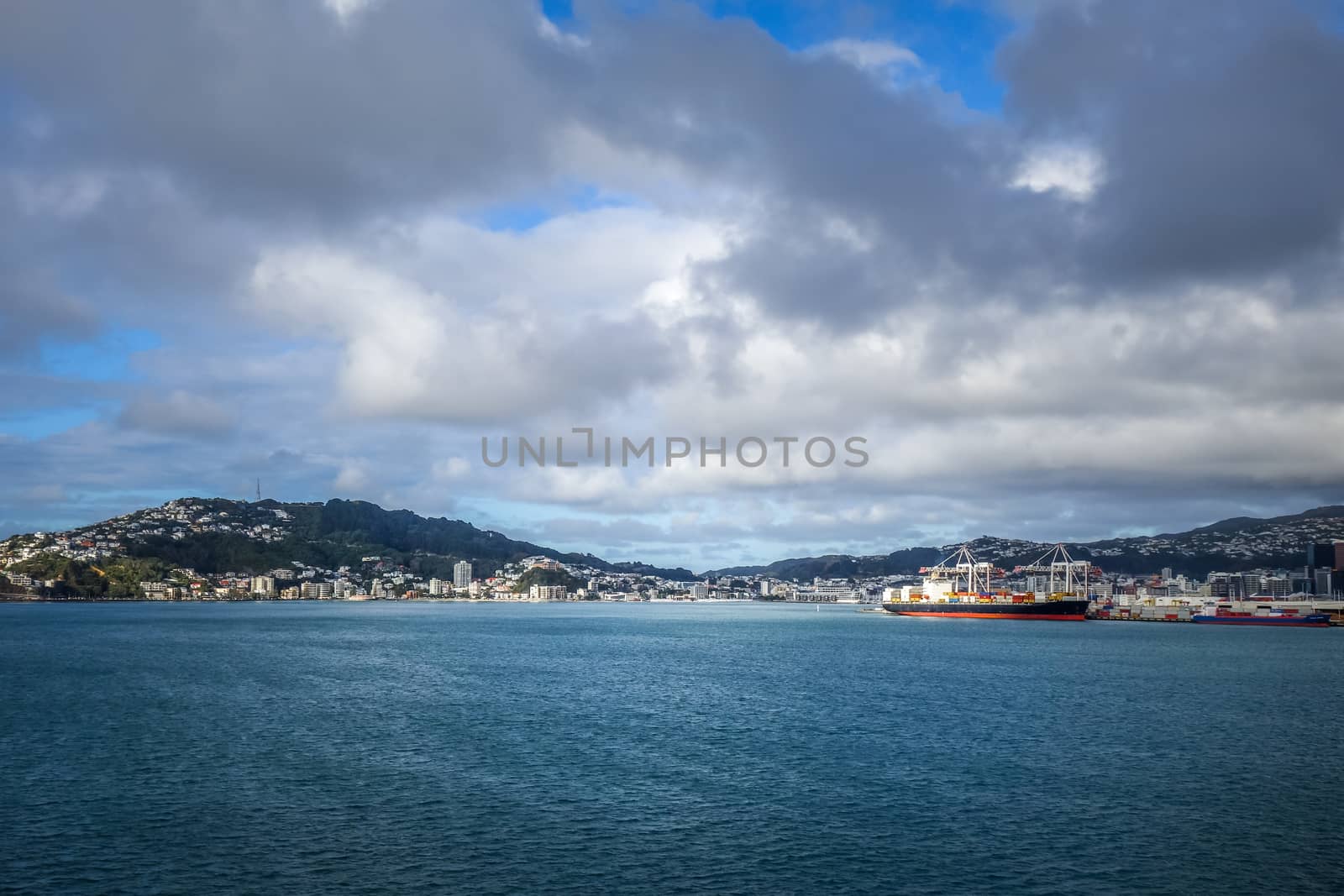 Wellington city view from the sea, New Zealand by daboost