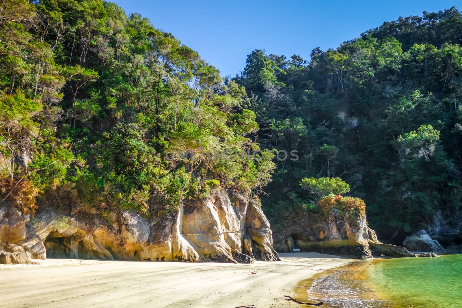 Creek at sunset in Abel Tasman National Park, New Zealand by daboost
