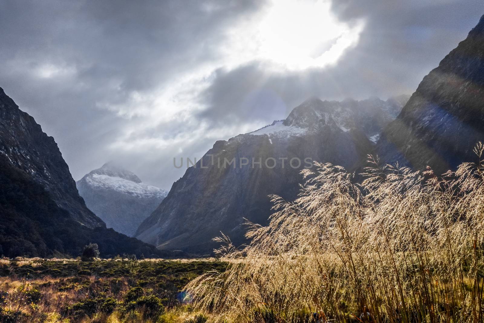 Fiordland national park stormy landscape, New Zealand southland