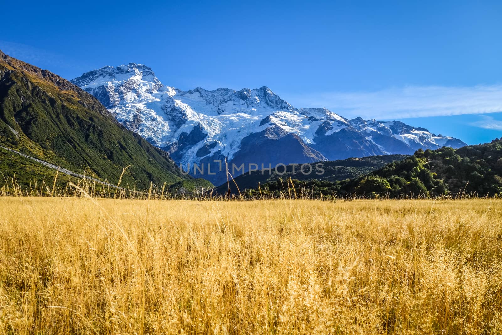 Mount Cook valley alpine landscape, New Zealand