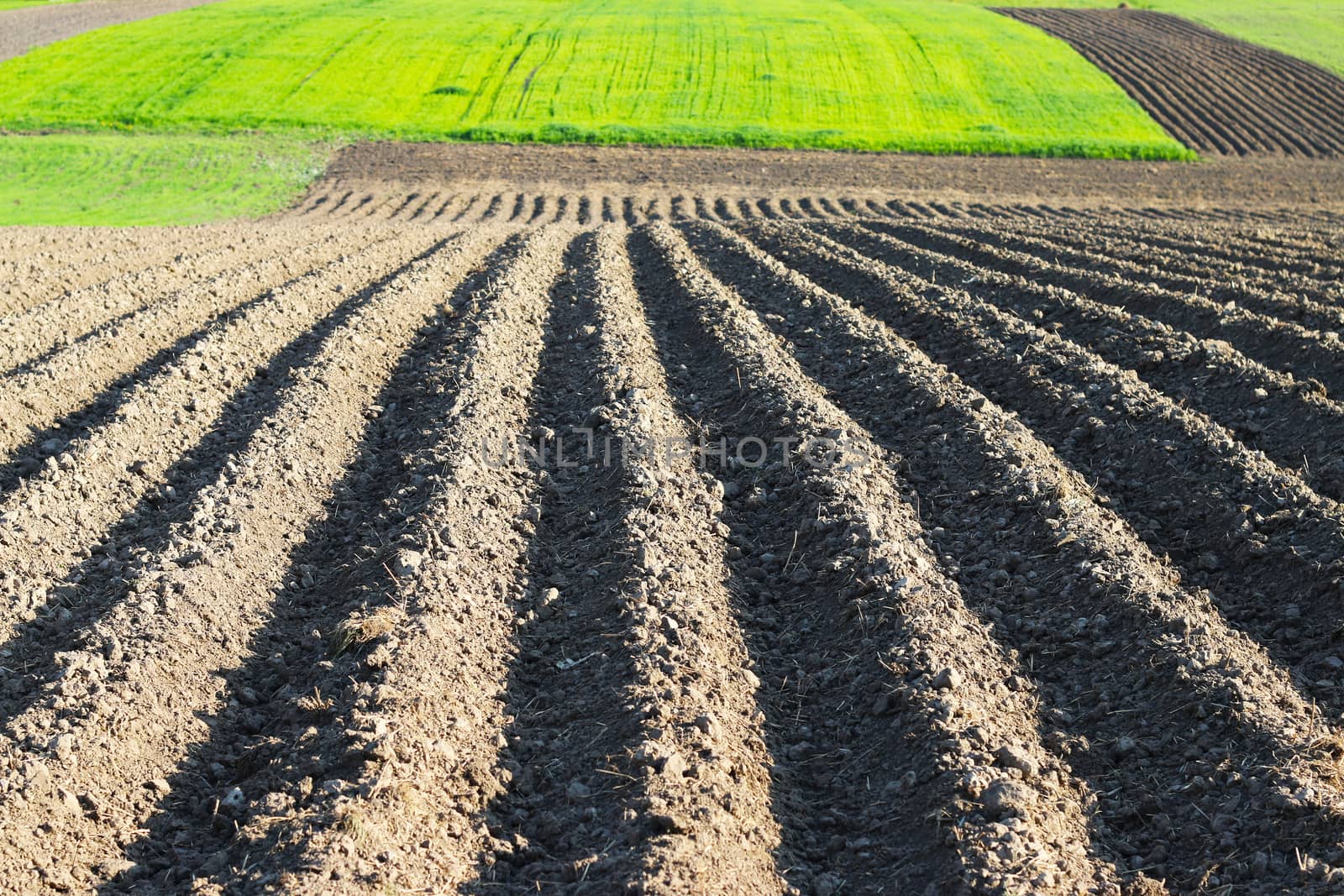 Planted farmer field. Agriculture farming nature landscape