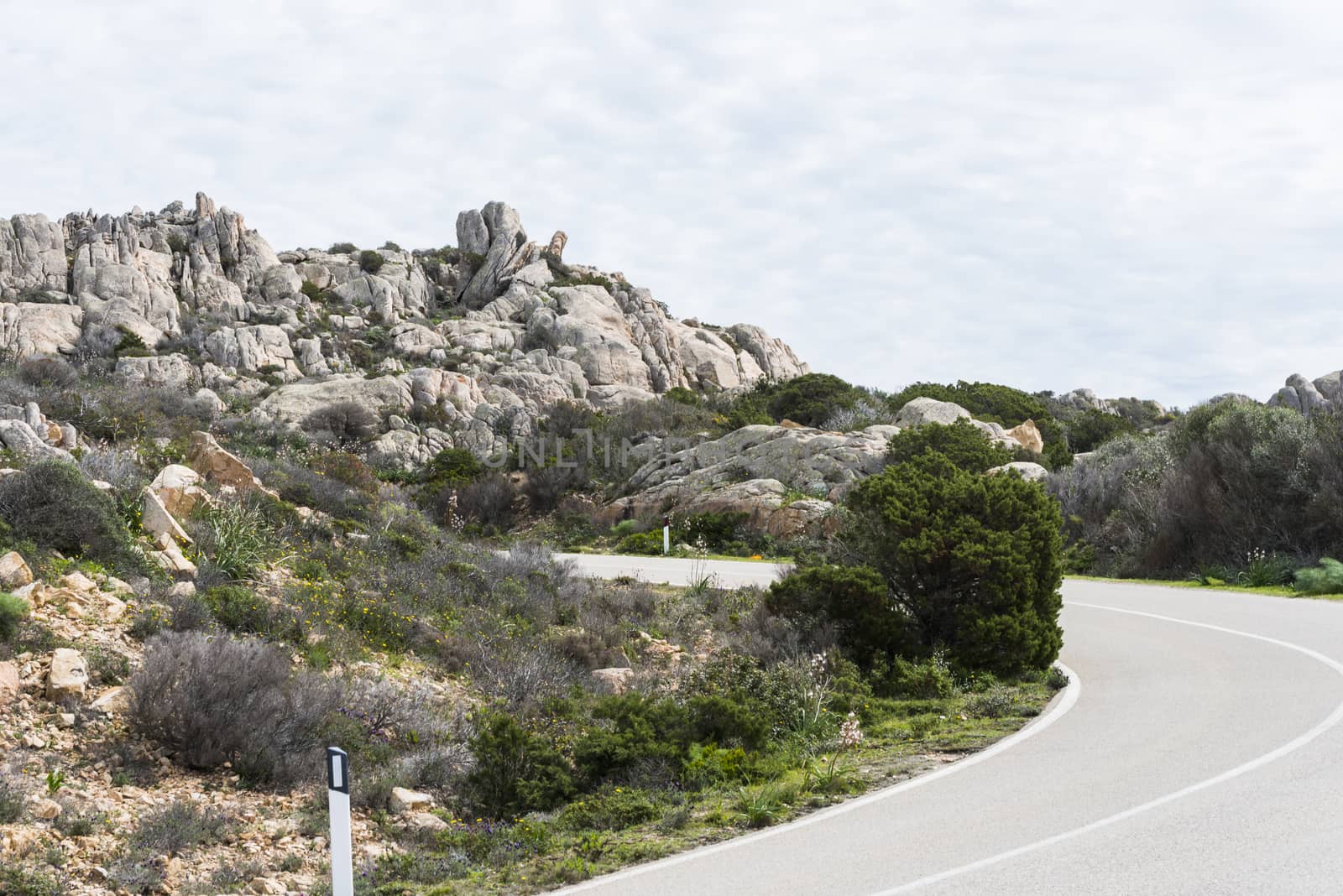a winding road with hairpin bends and beautiful nature with flowers and plants on the island of maddalena