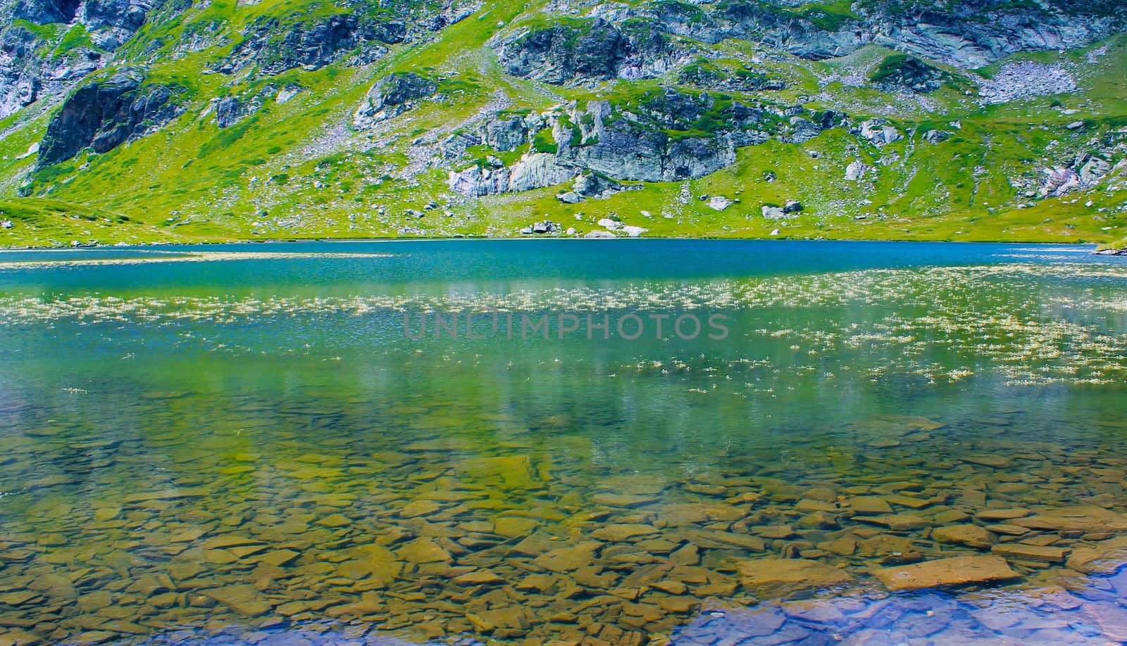 Closeup of a high mountain lake in a sunny spring day