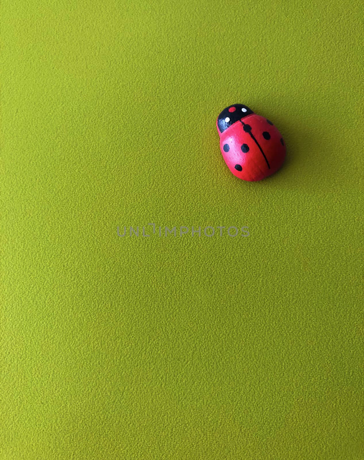 Ladybird spring fresh luck concept isolated on green background in vivid colors 