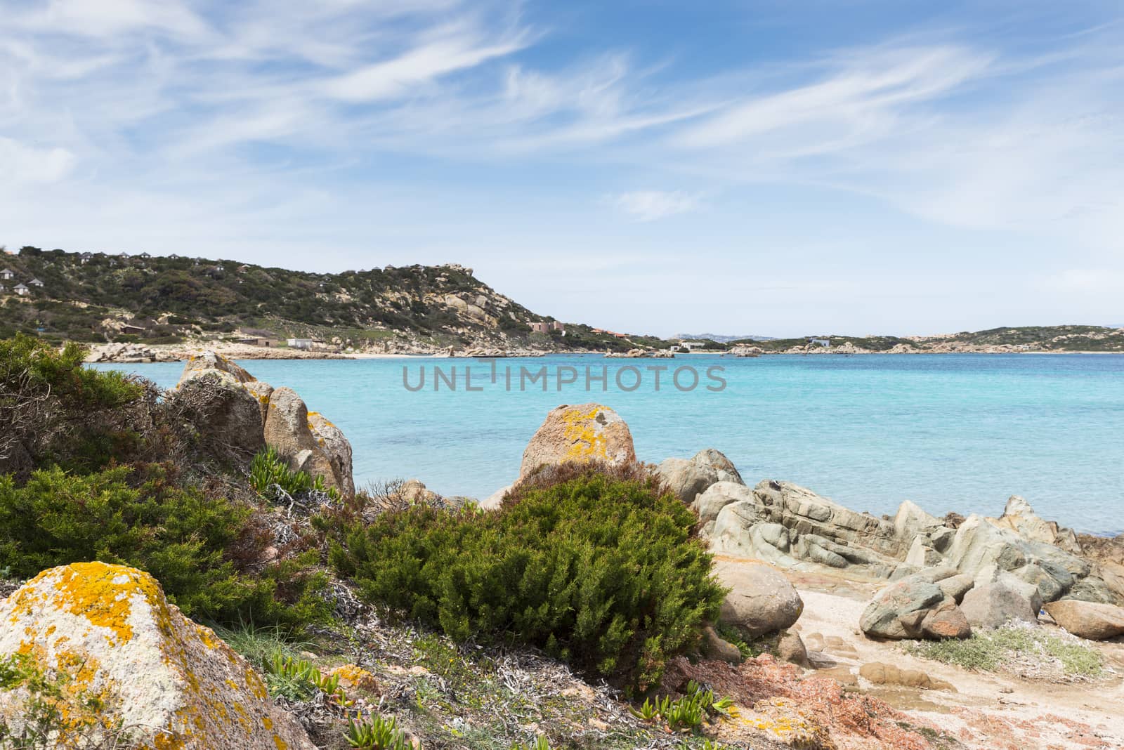 rocks on maddalena island, near sardinia with beautifull bay, blue water and plants and flowers, you can reach the island with the ferry from the sardinia palce palau
